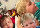 Georgia Toddler, 2, Is on Life Support After Being Stung Over 150 Times by Yellowjackets