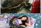 Woman Slept With Her Python Every Night… Until the Truth Alarmed Her Veterinarian 🐍