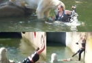 HORROR AT BERLIN ZOO: 32-Year-Old Woman Jumps Into Polar Bear Enclosure — What happened next left visitors transfixed. It was supposed to be a normal afternoon at the Berlin Zoo…see more