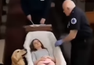 At My Granddaughter’s Funeral, Her Dog Did Something No One Could Explain…