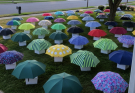 My Son Gave His Umbrella to a Pregnant Stranger in the Rain – The Next Morning, 47 Umbrellas Appeared on Our Lawn, Each With a Numbered Box That Made My Heart Stop