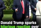 Donald Trump sparks hilarious reaction over group photo with world leaders at G7 summit
