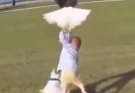 Dangerous Eagle Attack on Child Sparks Calls for Greater Wildlife Awareness