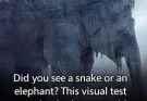 What did you see at first sight? 97% of people saw a snake! Find out if your old age will be bitter or sweet!