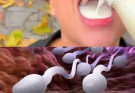 !! DOCTORS reveal that SWALLOWING your partner’s semen prov…See more