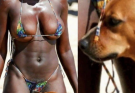 If your dog is sniffing your gen!tal area, it means you have…see more.