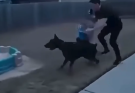 A quiet afternoon in a suburban backyard turns into a terrifying emergency when a neighbor’s powerful Doberman suddenly breaks through a damaged fence… Seee moreeeeee